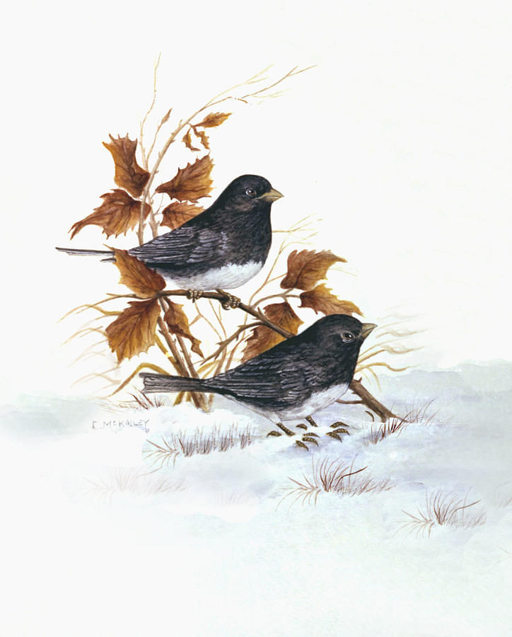 Juncos Painting by Carl McKinley