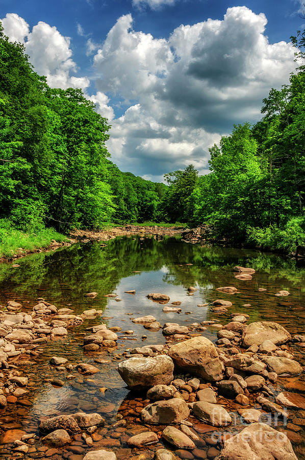 June Afternoon on Williams River  Photograph by Thomas R Fletcher