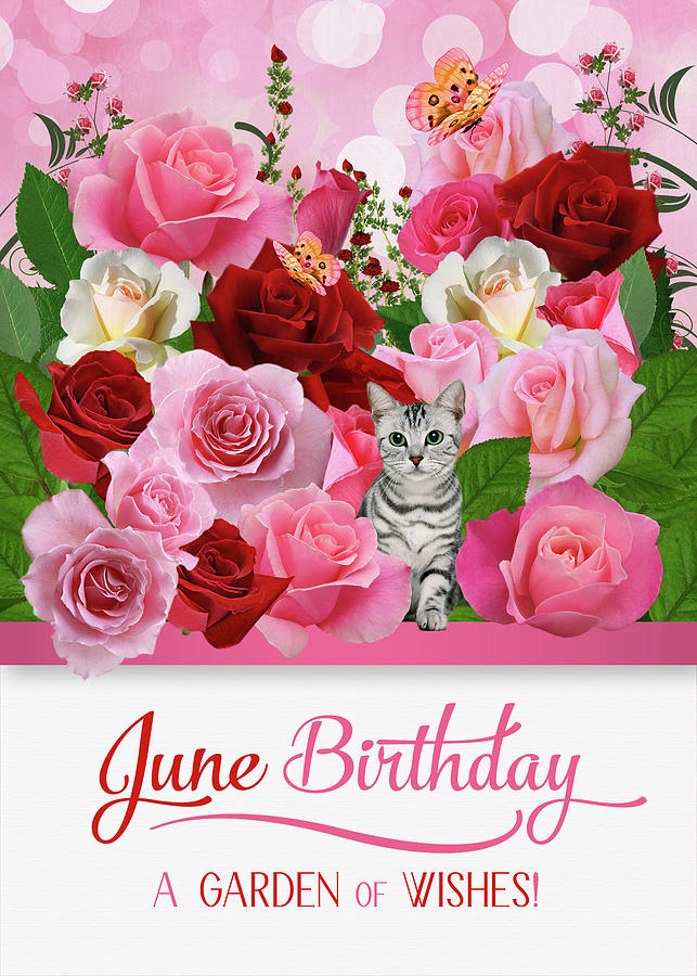 June Birthday Rose Garden with Butterflies and Tabby Cat  Digital Art by Doreen Erhardt