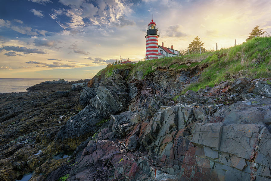 June Evening at West Quoddy Head Lighthouse Photograph by Kristen Wilkinson