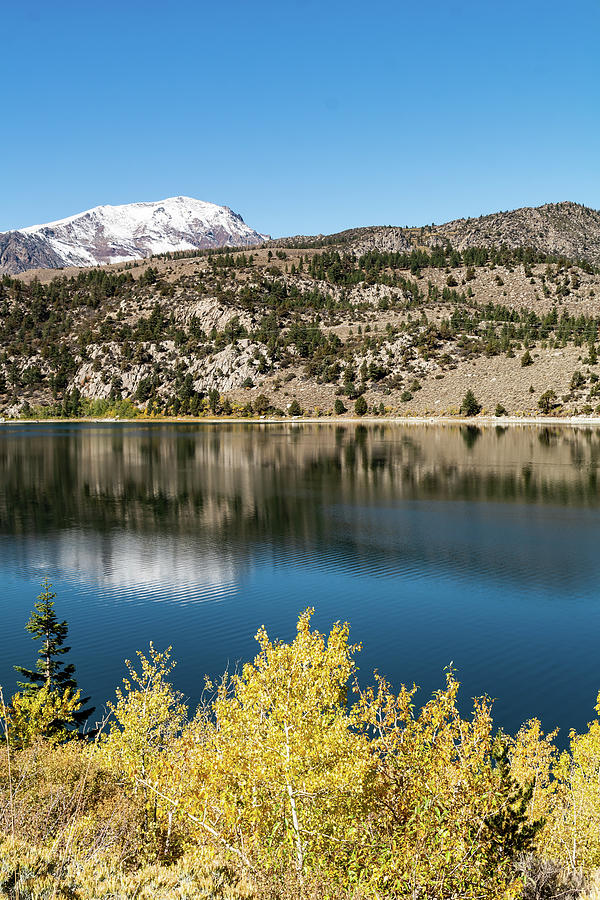 June Lake 1 Photograph by Becky Arnold - Fine Art America