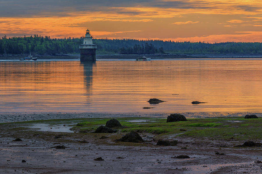 Summer Photograph - June Morning at Lubec Channel Light by Kristen Wilkinson