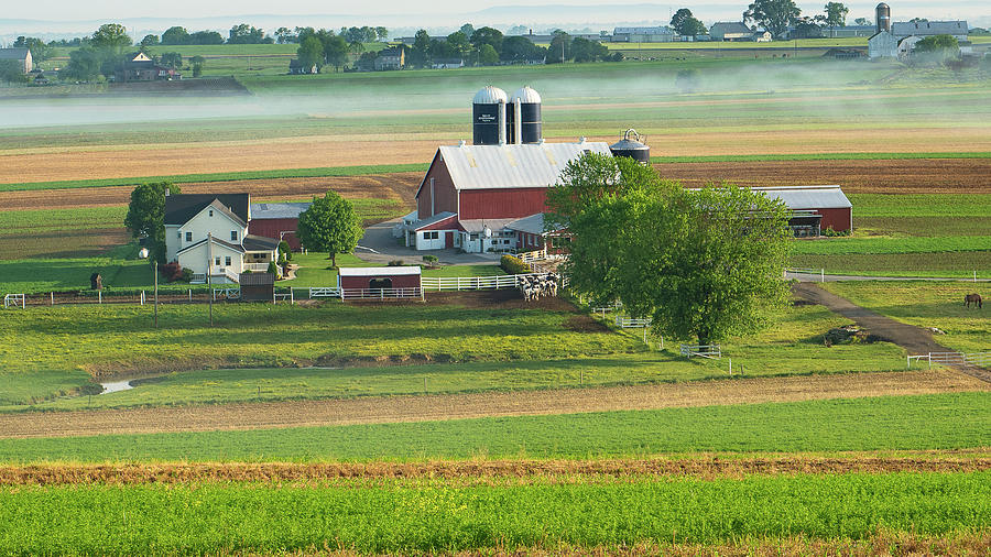 June Morning Farm Photograph By David Stackhouse Fine Art America