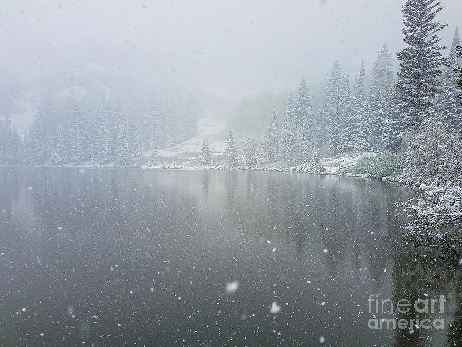 June snow at Silver Lake Photograph by Spencer Baugh