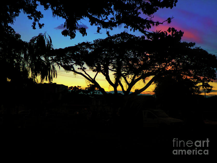June Sunset In Tulua Photograph by Al Bourassa