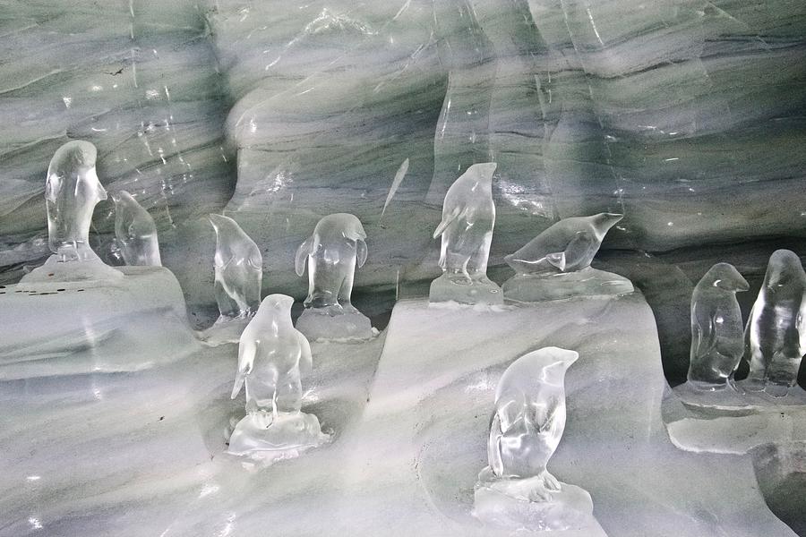 Jungfraujoch Ice Palace Penguins Photograph by Amelia Racca