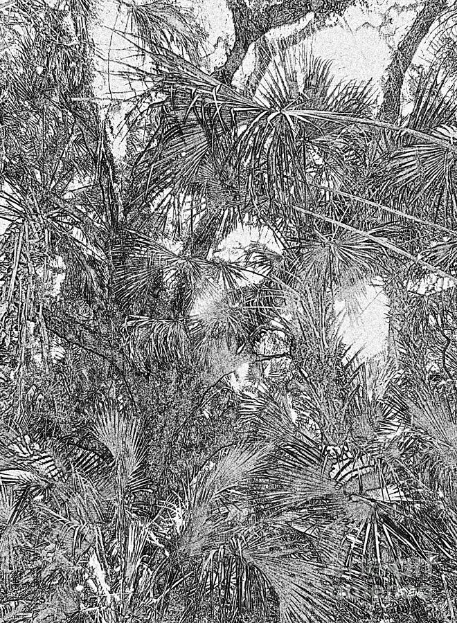 Jungle Black and White Sketch Drawing by Sharon Williams Eng
