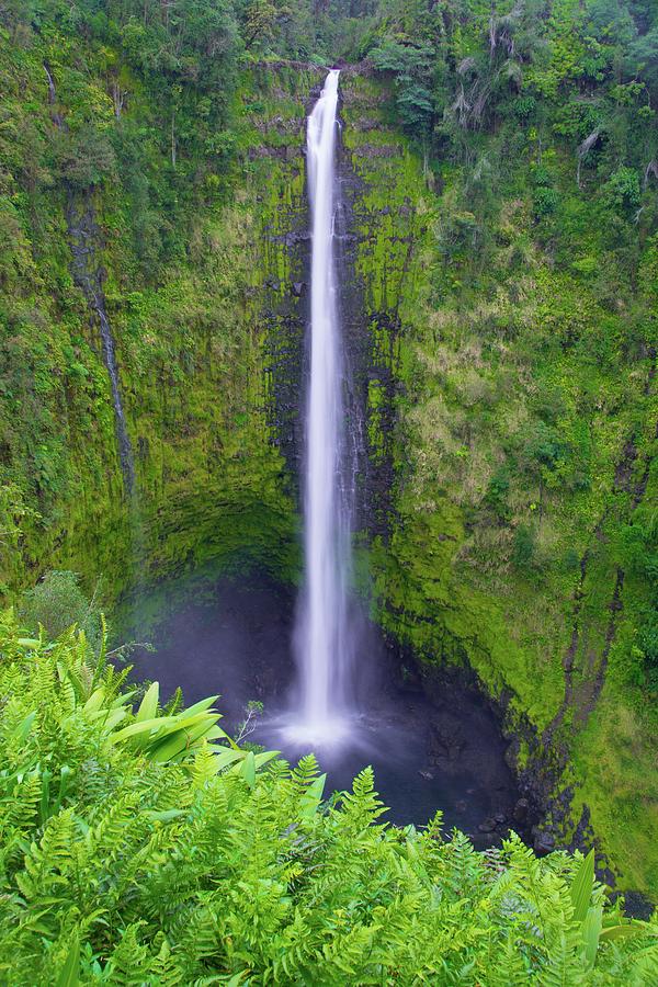 Jungle Falls Photograph by Steve Luther