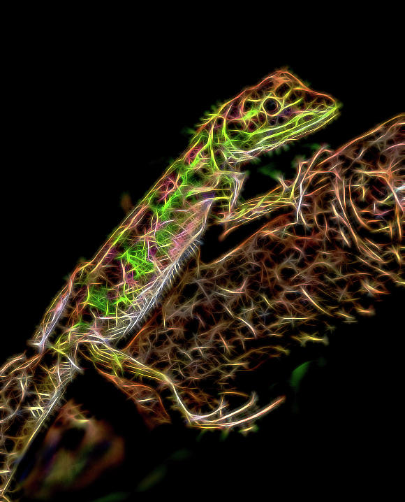 Jungle Lizard Fractalized Digital Art by Gary Hughes