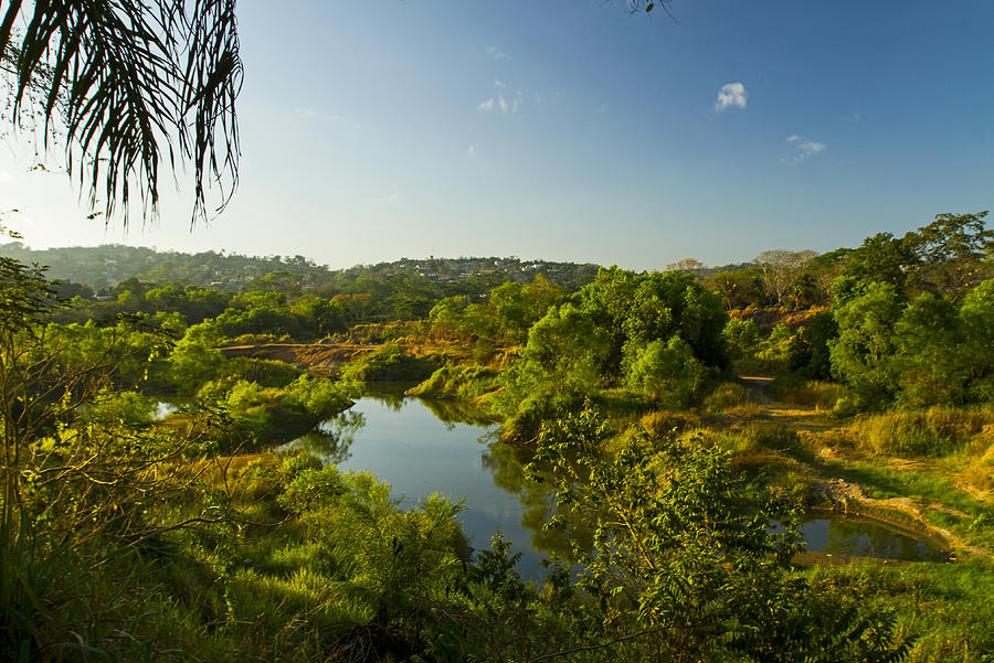 Jungle scenes near San Ignacio, Belize Photograph by Matt Champlin