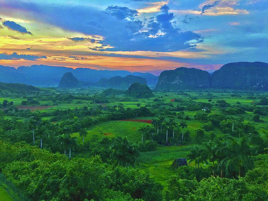Jungle Sunset Photograph by Liam McCarthy | Fine Art America