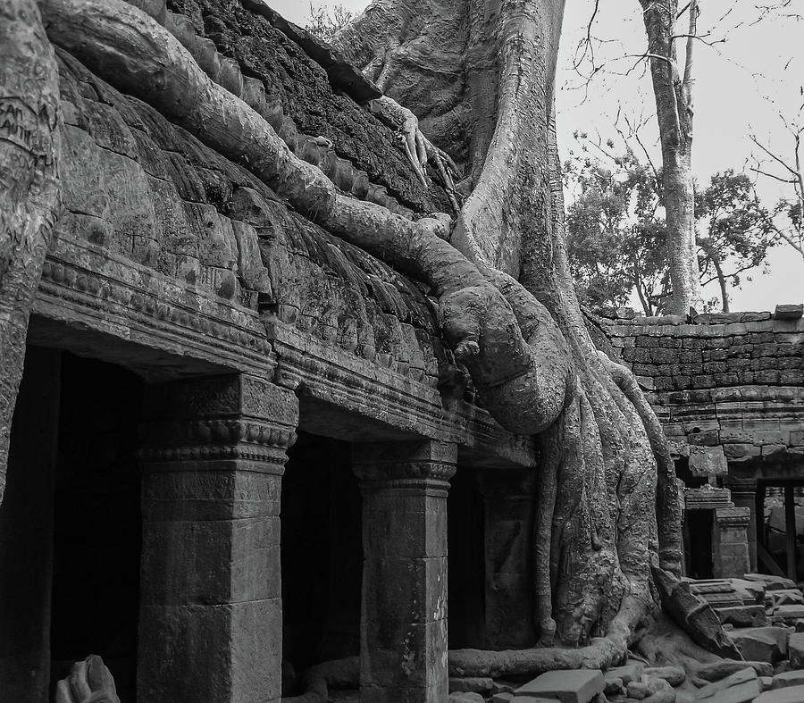 Jungle Temple 03 Photograph by Scott Watson Fine Art America