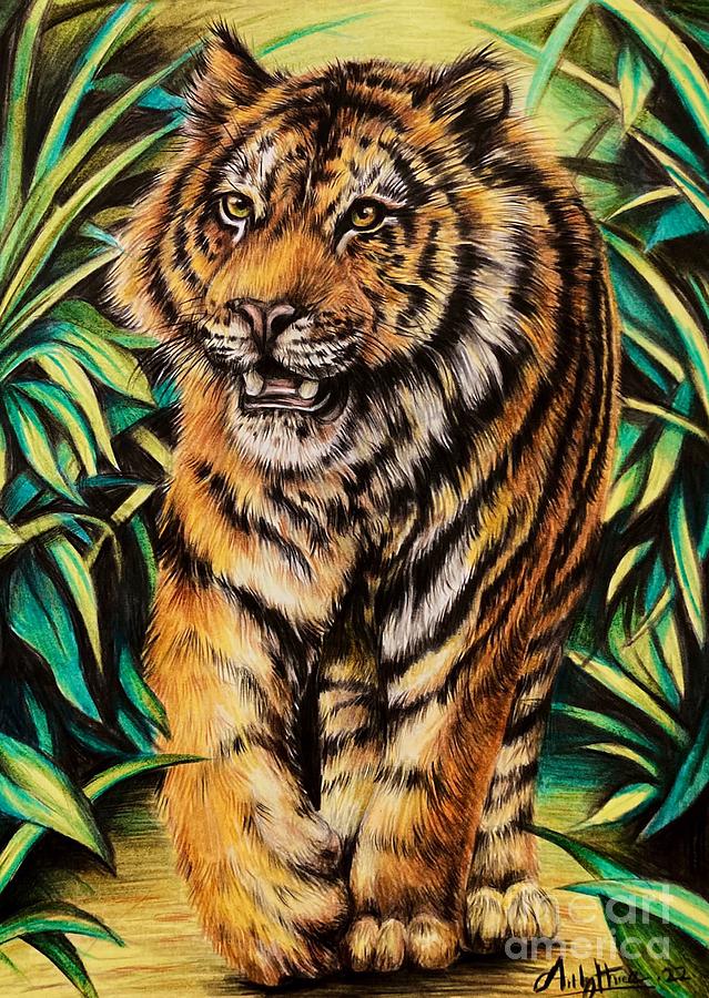 William Guevara  Just a Tiger As beautiful as it is Or as beautiful as I  can paint it tiger drawing sketching painting digitalpainting animal  wildlife procreate art  Facebook