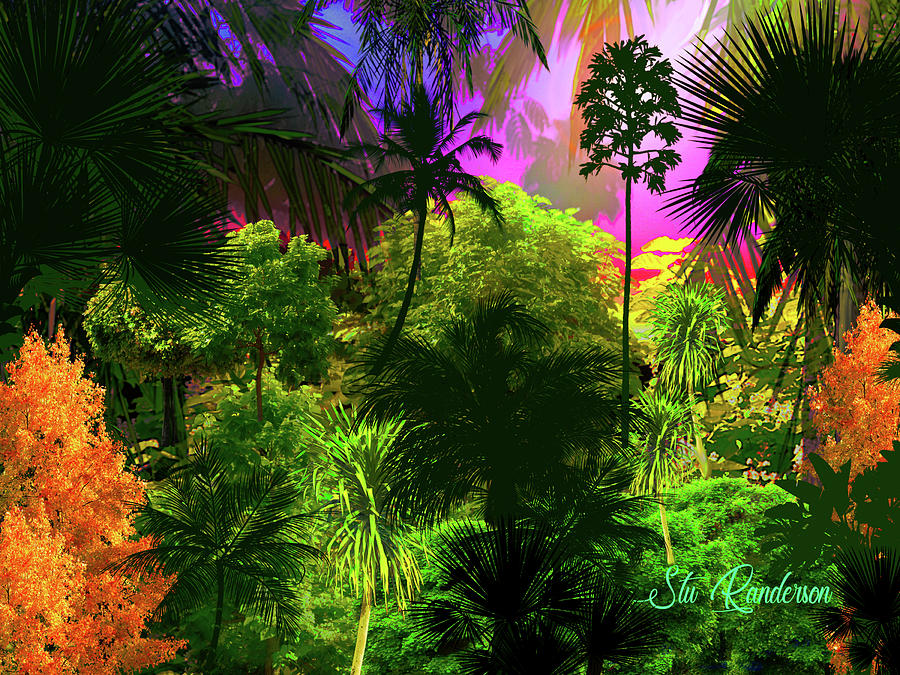 Jungle Treetops Digital Art by Stu Randerson