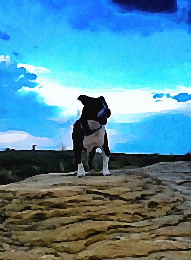 Dog Mixed Media - Junior Water  by Mike Reilly