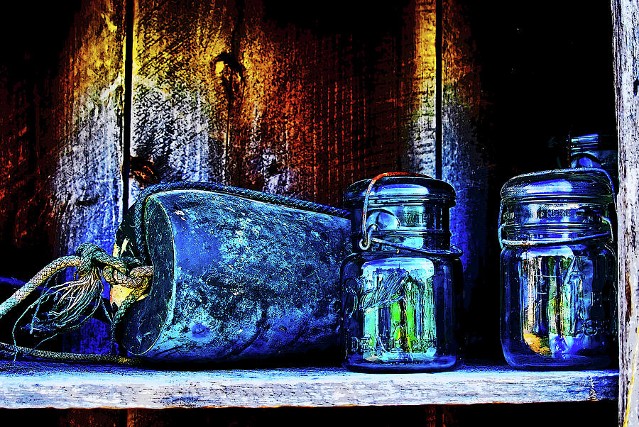 Junk shop Bell jars. Photograph by Bill Jonscher