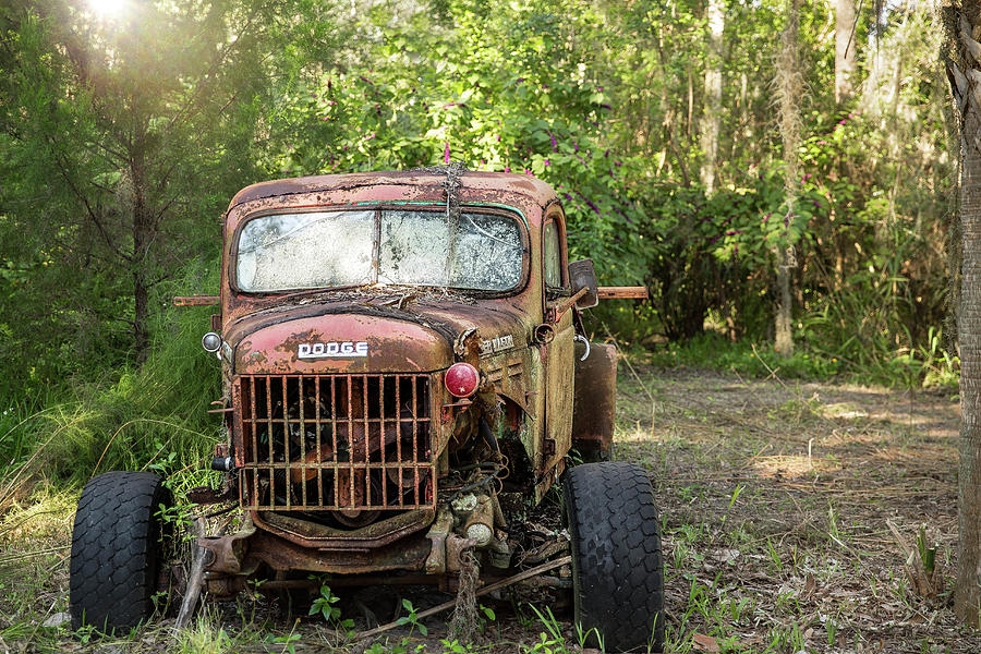 Junk Yard Beauty Photograph by Jessica Brown