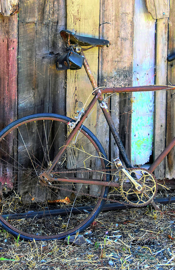 Junk Yard Bicycle in Old Edna Detail Photograph by Floyd Snyder