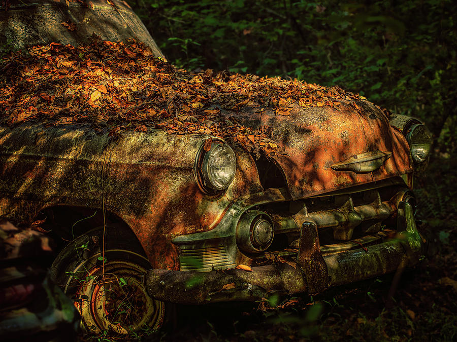 Tree Photograph - Junkyard 53 Chevy by Thomas Hall