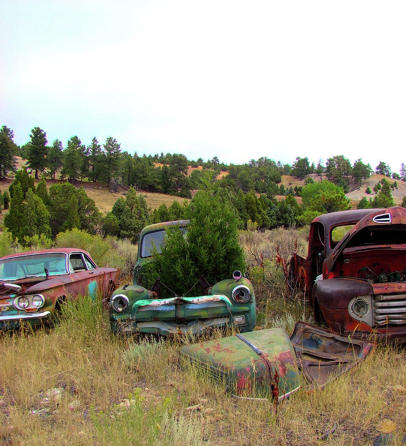 Junkyard Series Rusty Pickups Photograph by Cathy Anderson