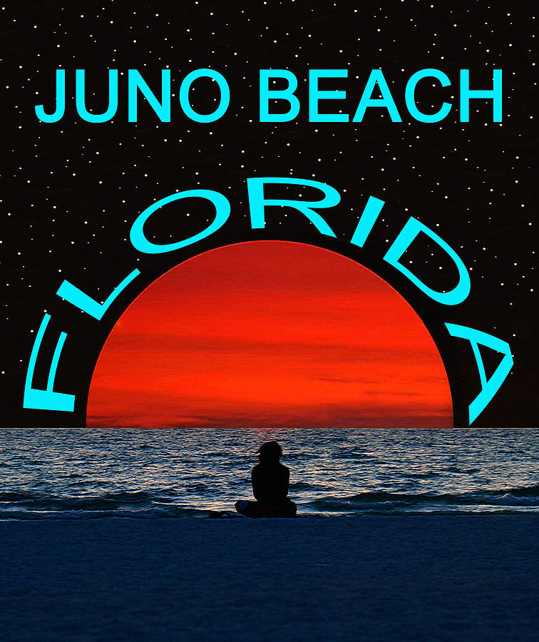 Juno Beach Florida Dream Girl Mixed Media by David Lee Thompson