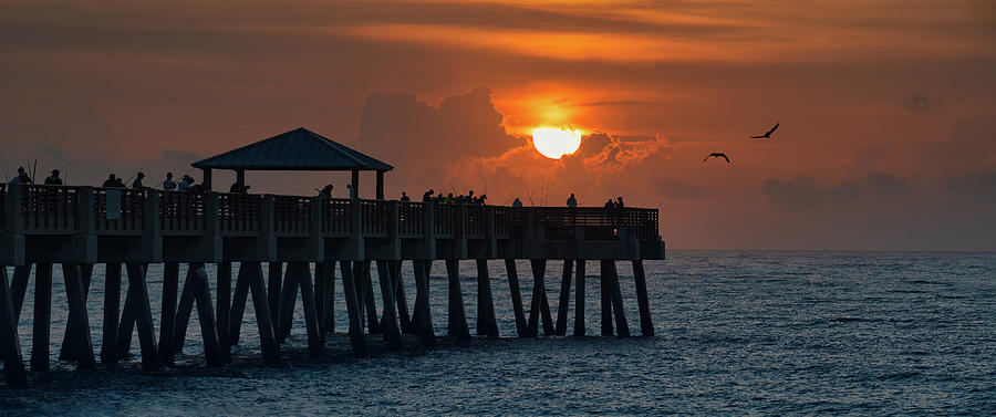 Juno Beach Pier Sunrise and Birds Atlantic Ocean Photograph by Kim Seng