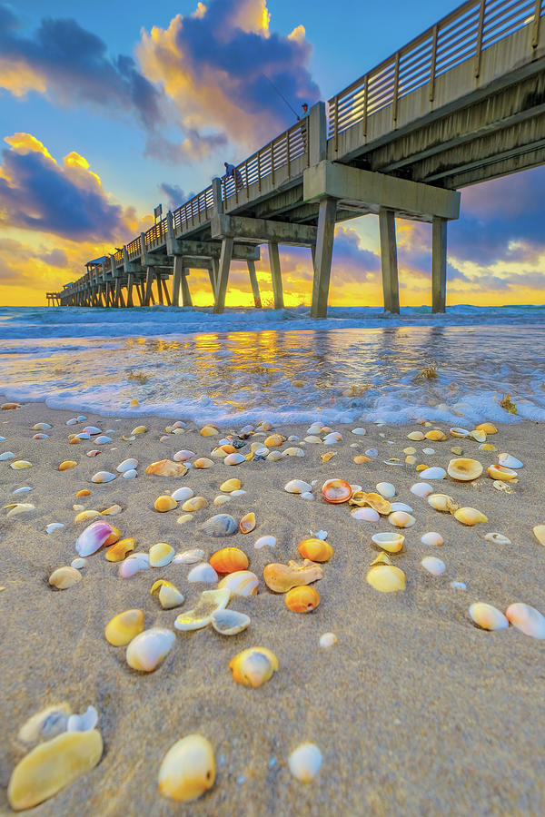 Juno Beach Pier Sunrise Shells at Atlantic Ocean Photograph by Kim Seng