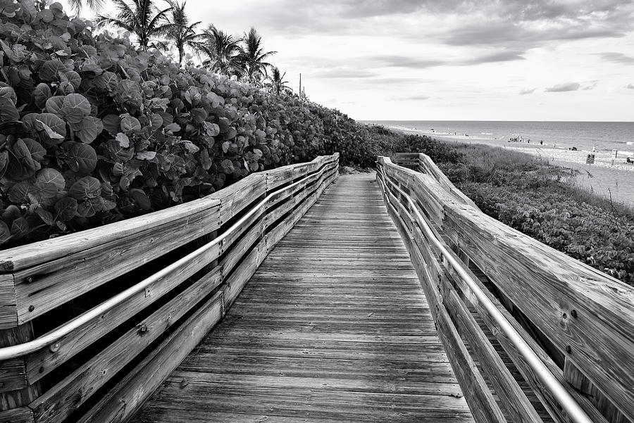 Jupiter Beach Walk - Black and White Photograph by Laura Fasulo