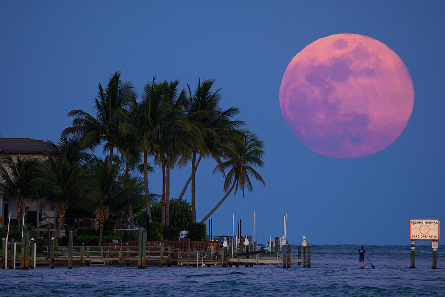 Jupiter Inlet Florida Full Moonrise May 2019 Photograph by Kim Seng
