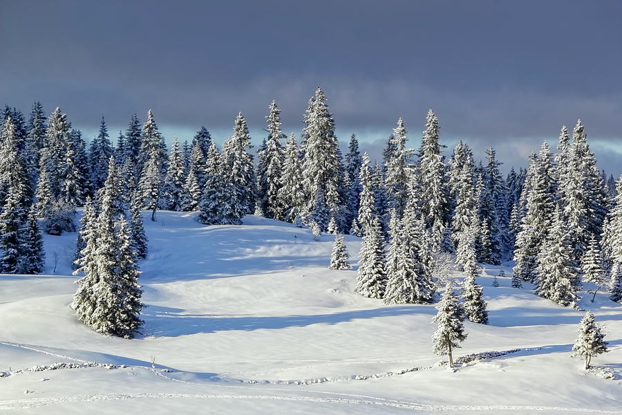 Jura mountain in winter, Switzerland Photograph by Elenarts - Elena Duvernay photo
