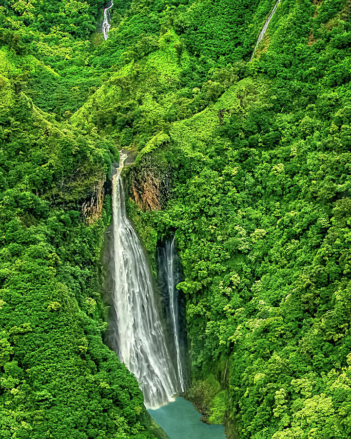  Jurassic Falls in Hawaii Photograph by Mitchell R Grosky