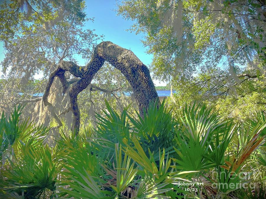 Jurassic North Florida Photograph by John Anderson