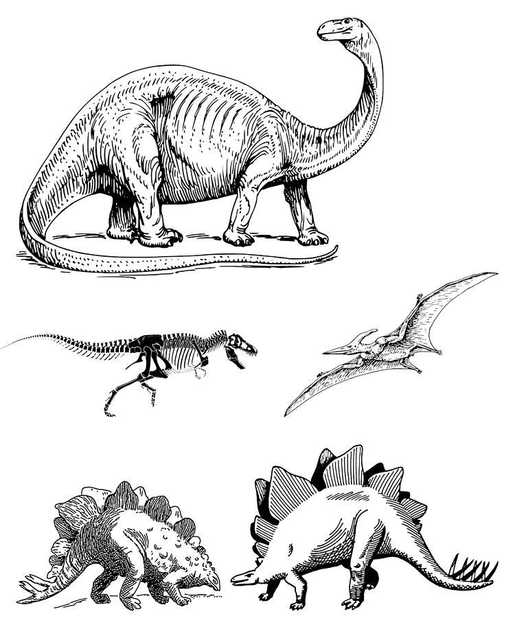 Jurassic World Drawing by Mohamed Sanaaj | Fine Art America