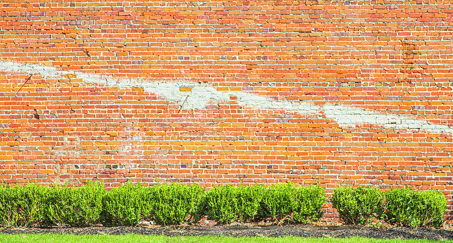 Just a Brick Wall in New Bern NC Photograph by Bob Decker