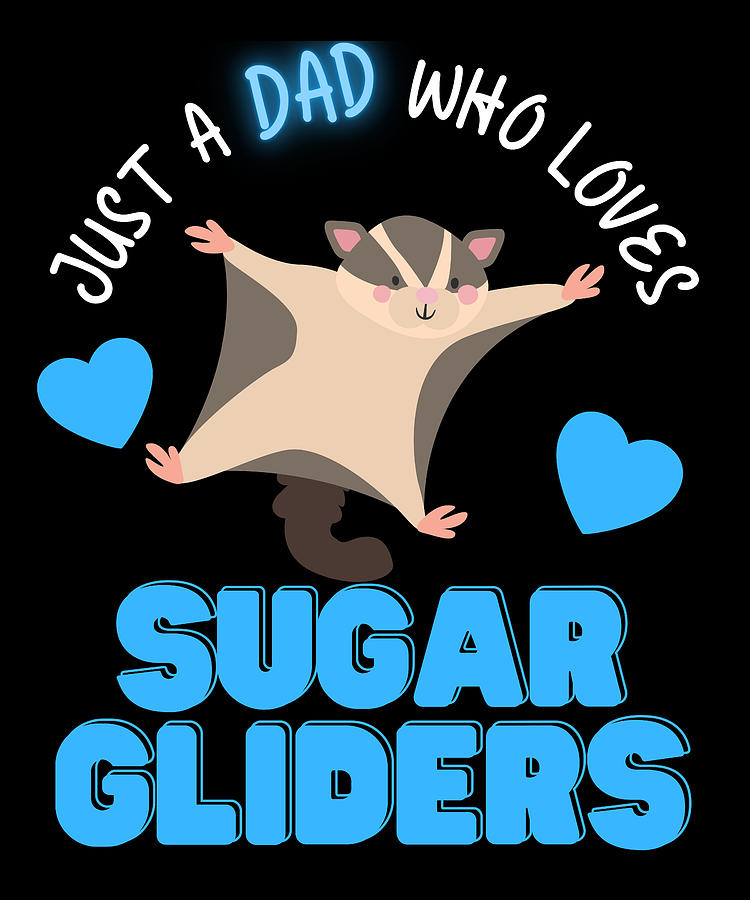 cute sugar glider drawing