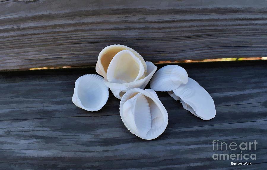 Just a Few Shells Photograph by Roberta Byram
