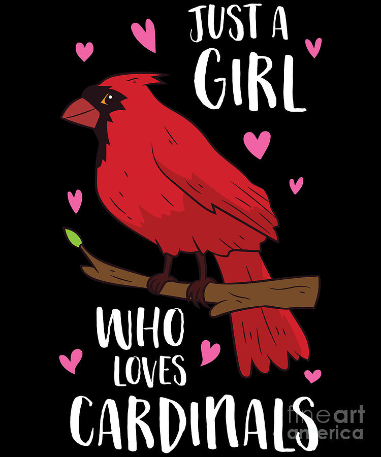 Funny Cardinal Lover Just A Girl Who Loves Cardinals T-Shirt