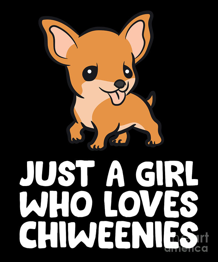 Chiweenie apparel outlet