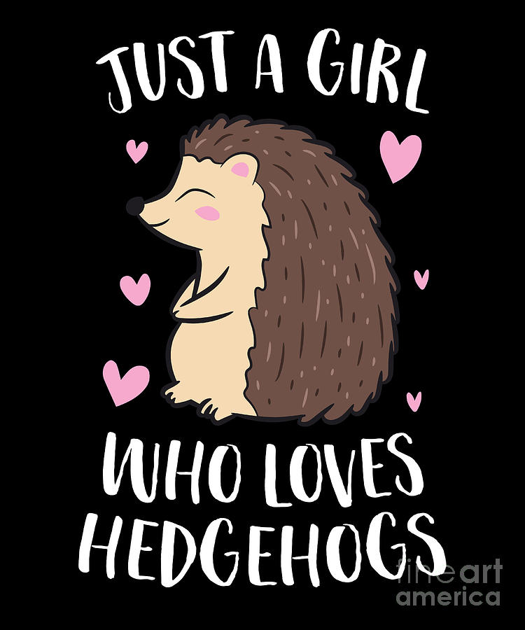 Just A Girl Who Loves Hedgehogs T-Shirt Just A Girl Who Loves Hedgehogs T-Shirt