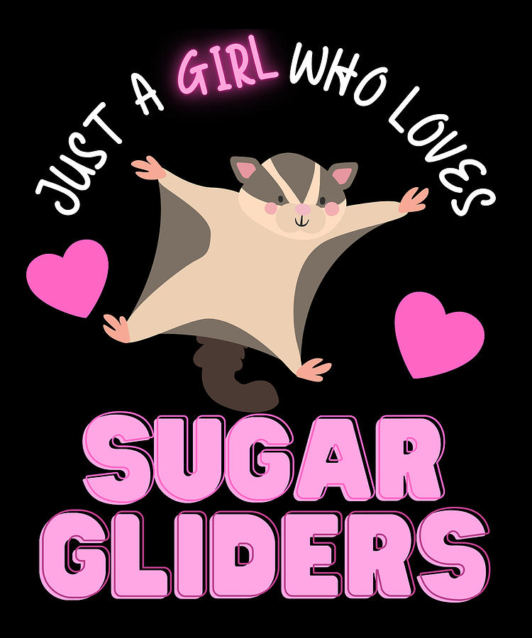 sugar glider cute
