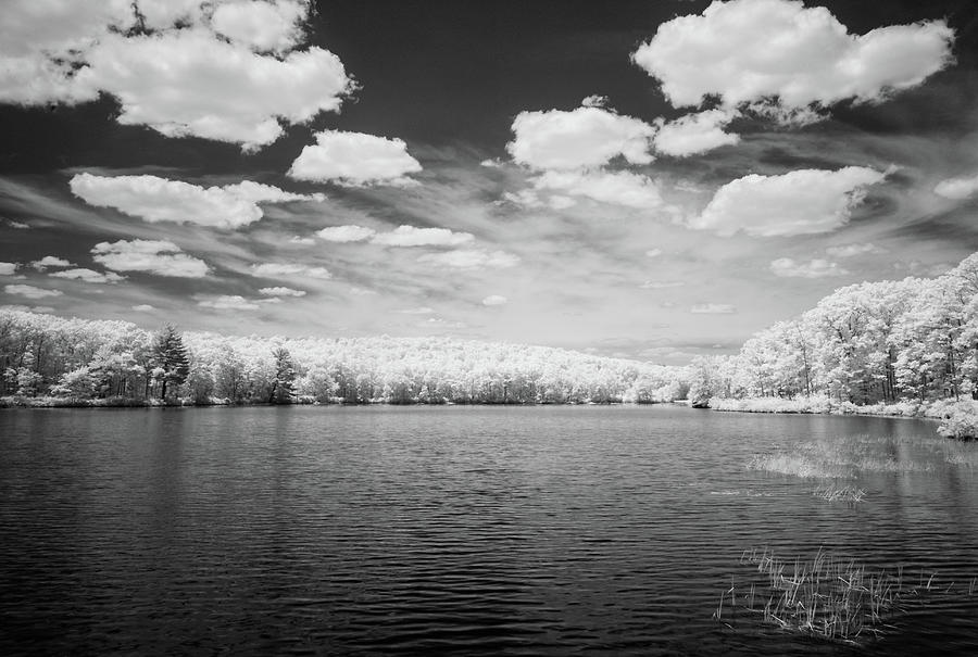 Just a lake in Pensylvania  Photograph by Eugene Nikiforov