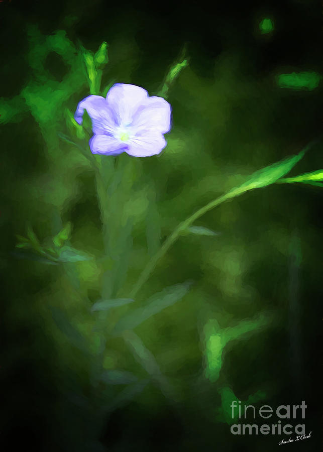 Just A Little Flower Photograph