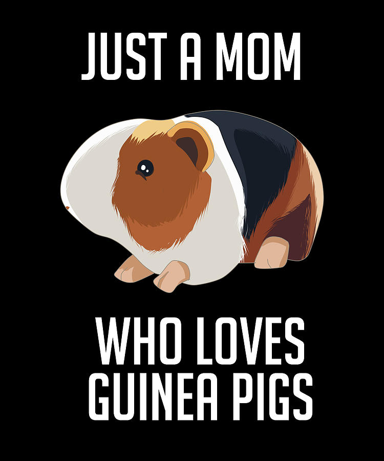 https://images.fineartamerica.com/images/artworkimages/mediumlarge/3/just-a-mom-who-loves-guinea-pigs-cynto.jpg