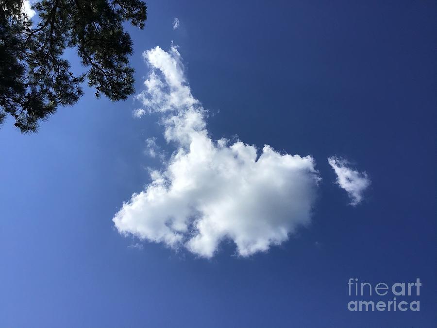 Cloud Puffing Photograph by Catherine Wilson