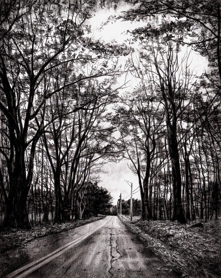 Just Another Road in Maine Drawing by Shana Rowe Jackson