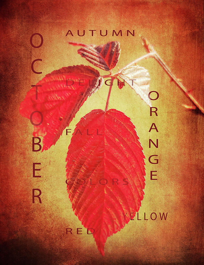 Just Autumn Leaves Typography Mixed Media by Dan Sproul
