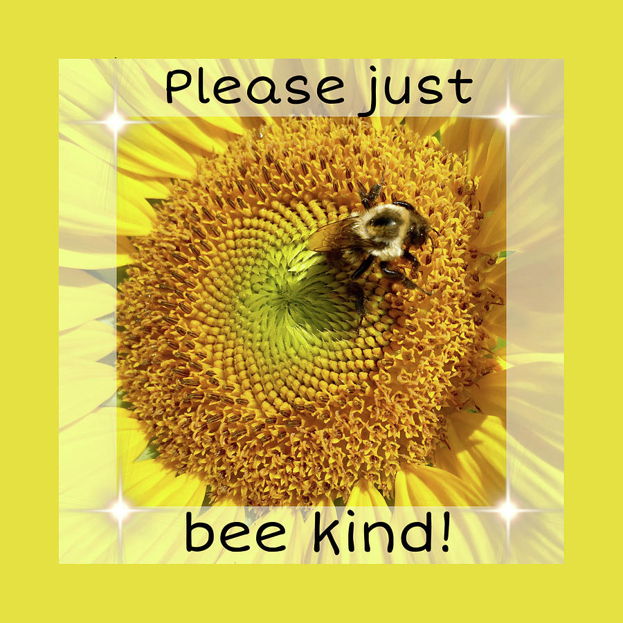 Just Bee Kind Too Photograph by Diane Lindon Coy