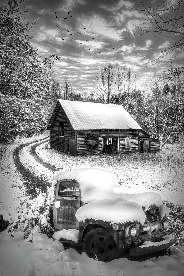 Just Before Christmas Snowfall in Black and White   Photograph by Debra and Dave Vanderlaan