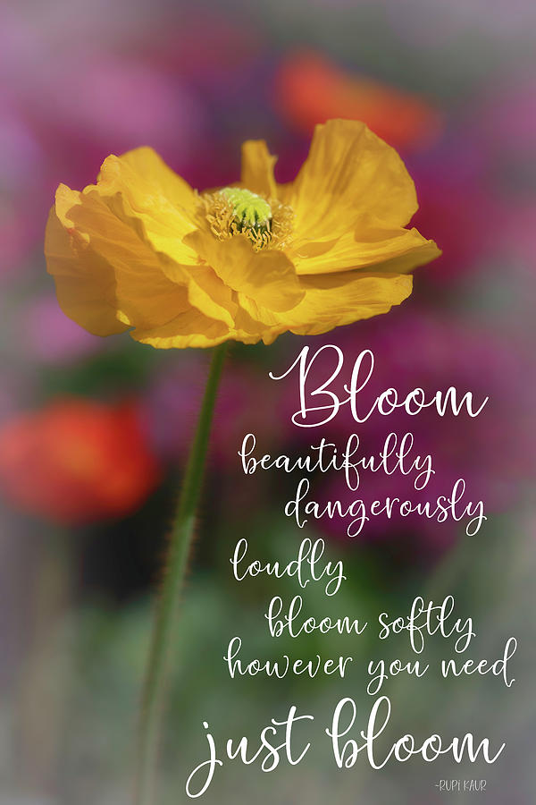 Just Bloom Photograph by Teresa Wilson