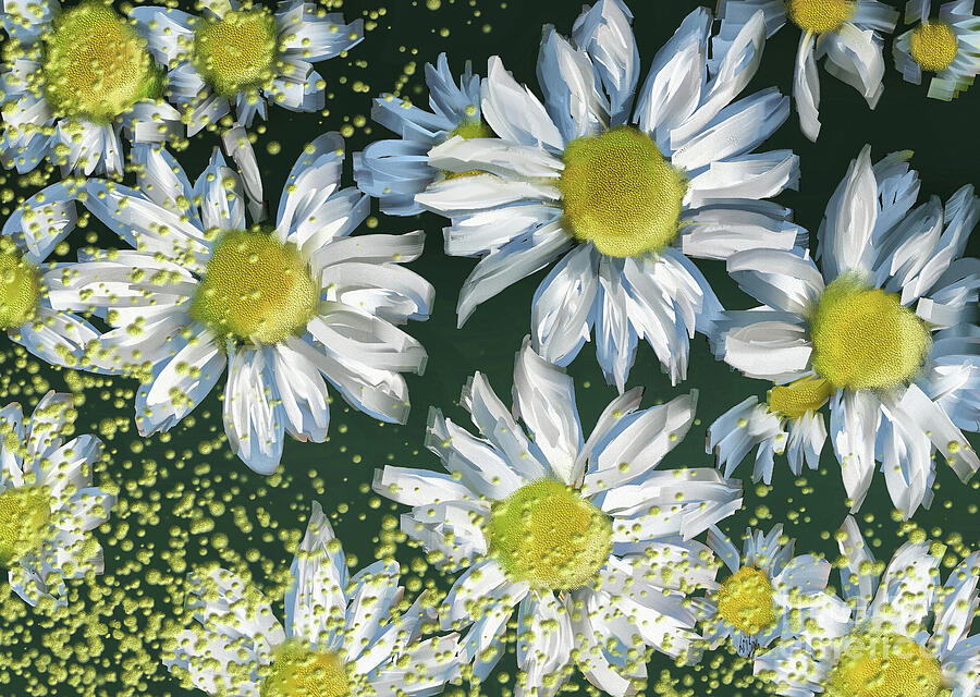 Flower Digital Art - Just Crazy For Daisies by Lois Bryan
